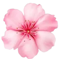 FLOWER -SS01