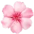 FLOWER -SS03