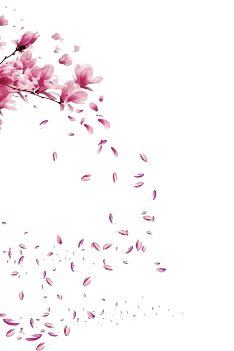 PINK ELEMENT