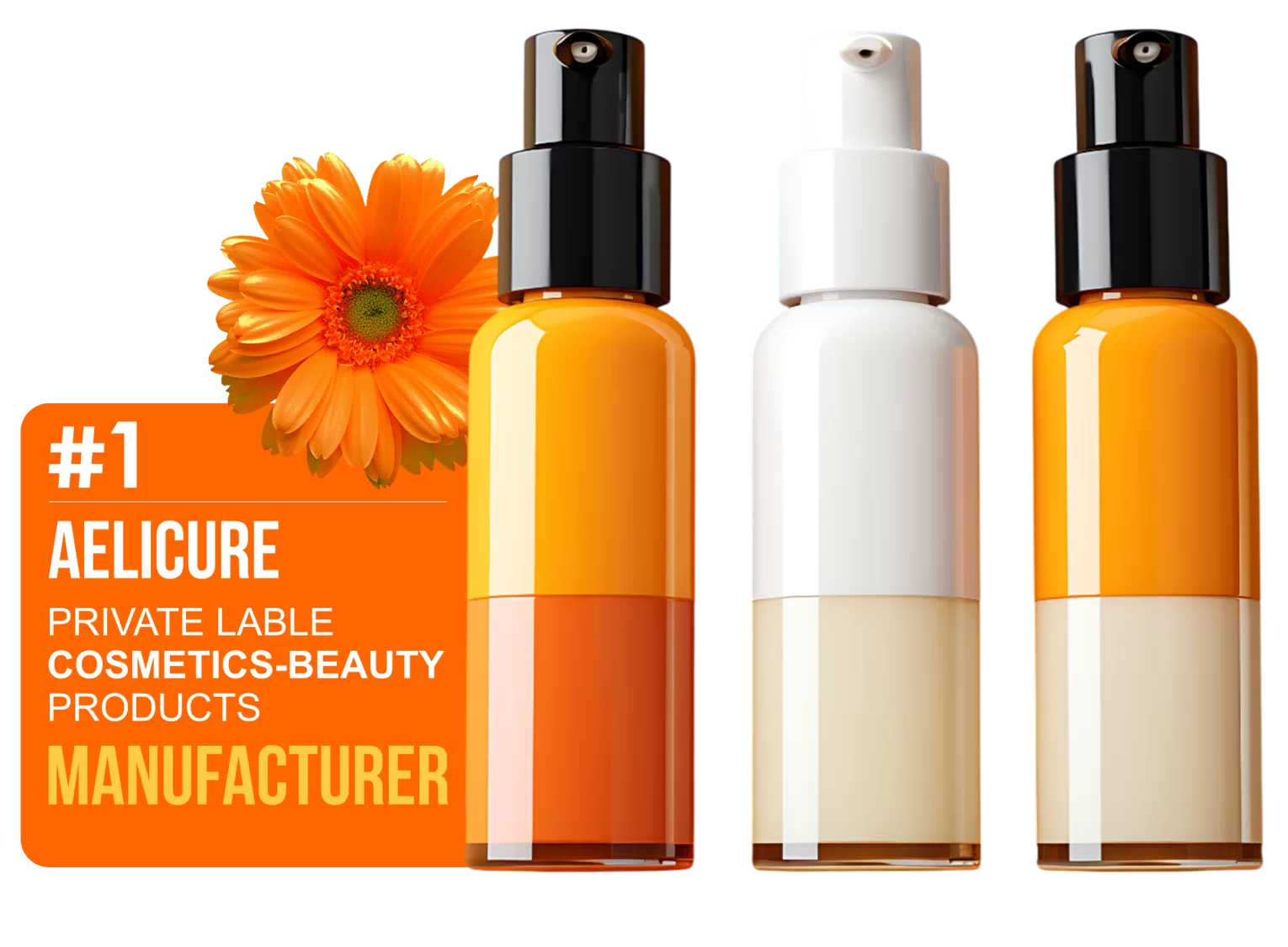 Best Manufacturer in Gujarat